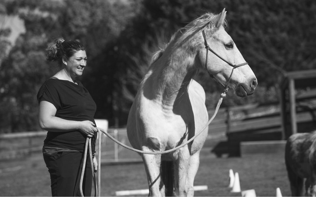 Horses in Animal Assisted Psychology