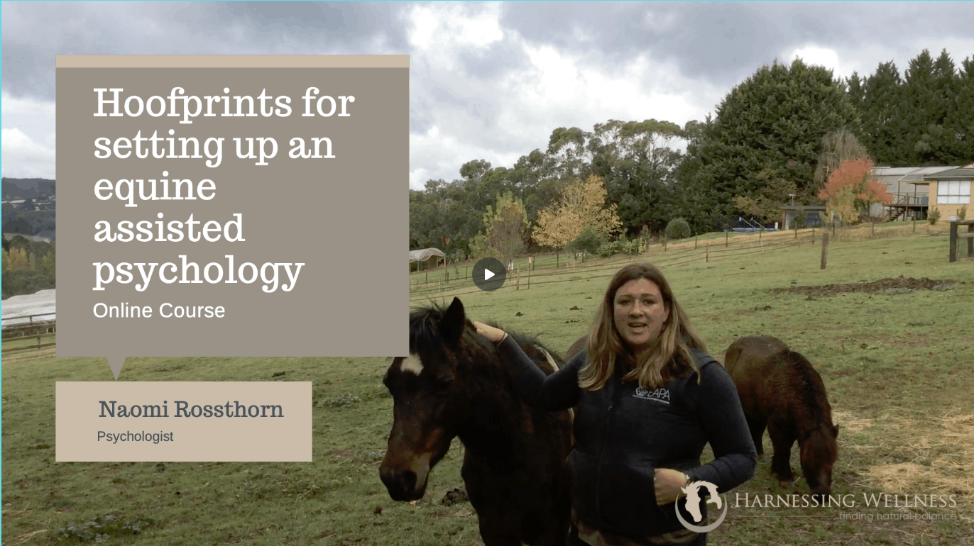Setting up an equine therapy clinic